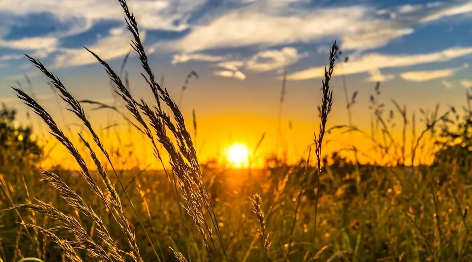 Türkiye'de 2026 Yazında "Süper El Nino" Alarmı!