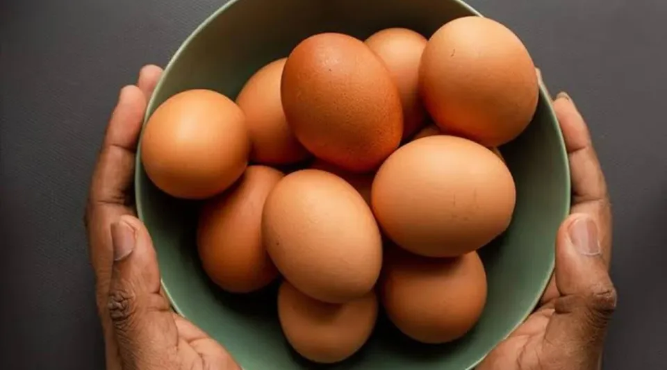 Salmonella salgını 8 Avrupa ülkesine yayıldı: 306 kişi hastalandı