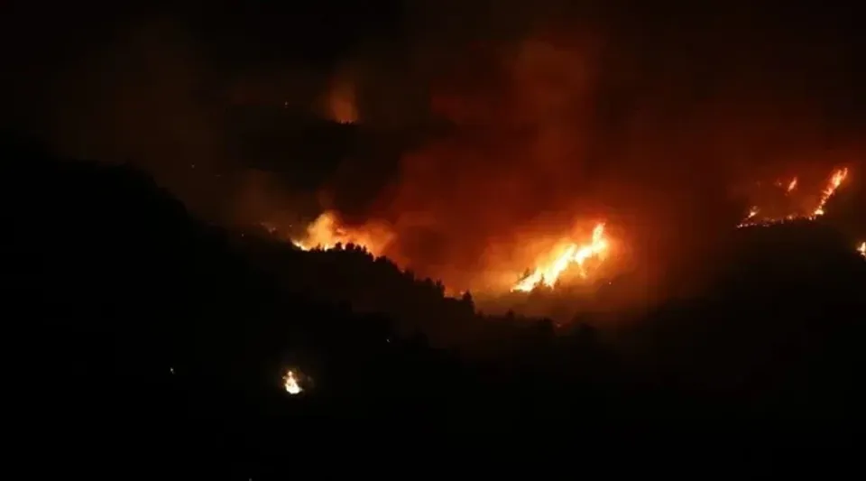 Cezayir'de çıkan orman yangınlarında 12 kişi hayatını kaybetti