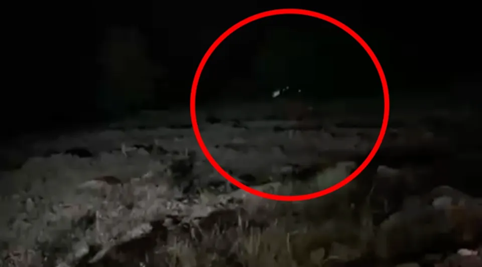 Bingöl Genç'te araç uçuruma yuvarlandı: 4 ölü, 5 yaralı