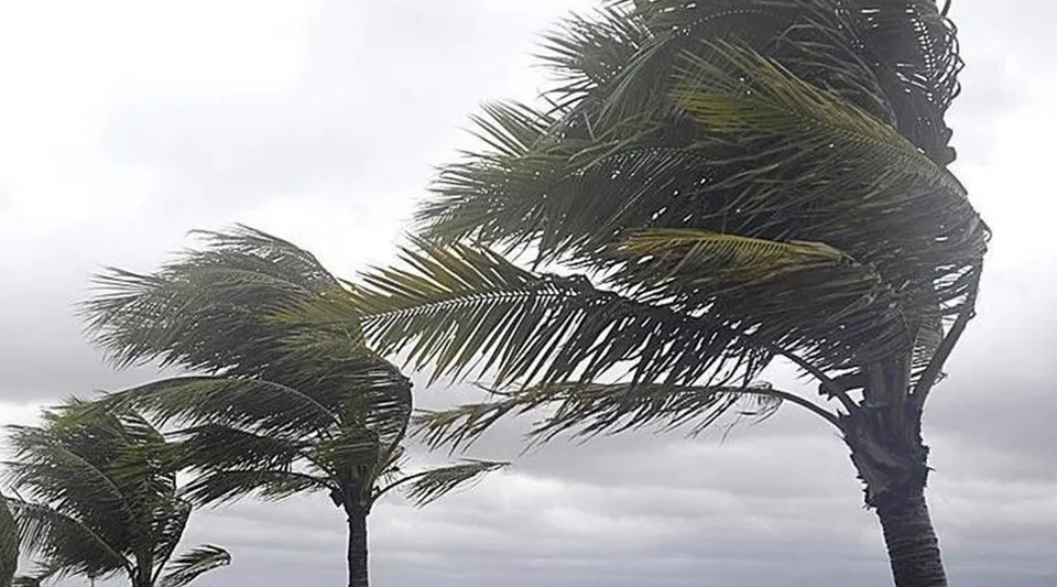 Muğla'da 8 ilçeye fırtına uyarısı: Rüzgar 70 km/sa hıza çıkacak