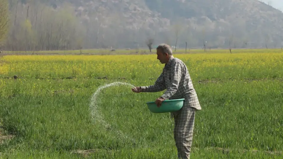 Çiftçinin Enflasyonunda Ağustos Sürprizi: Aylık Düşüşe Rağmen Yıllık Fiyatlar Yüksek