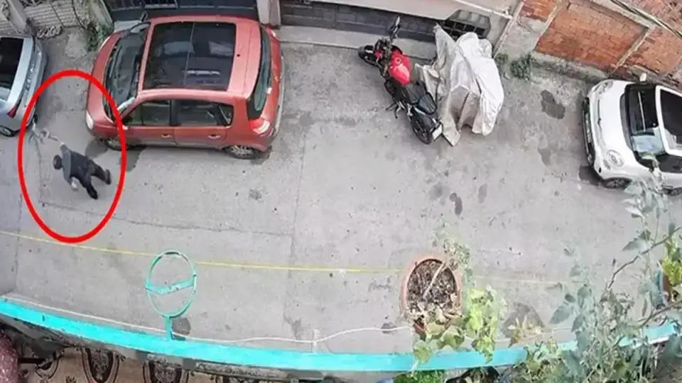 Bursa'da kediye şiddet uygulayan şüpheli yakalandı