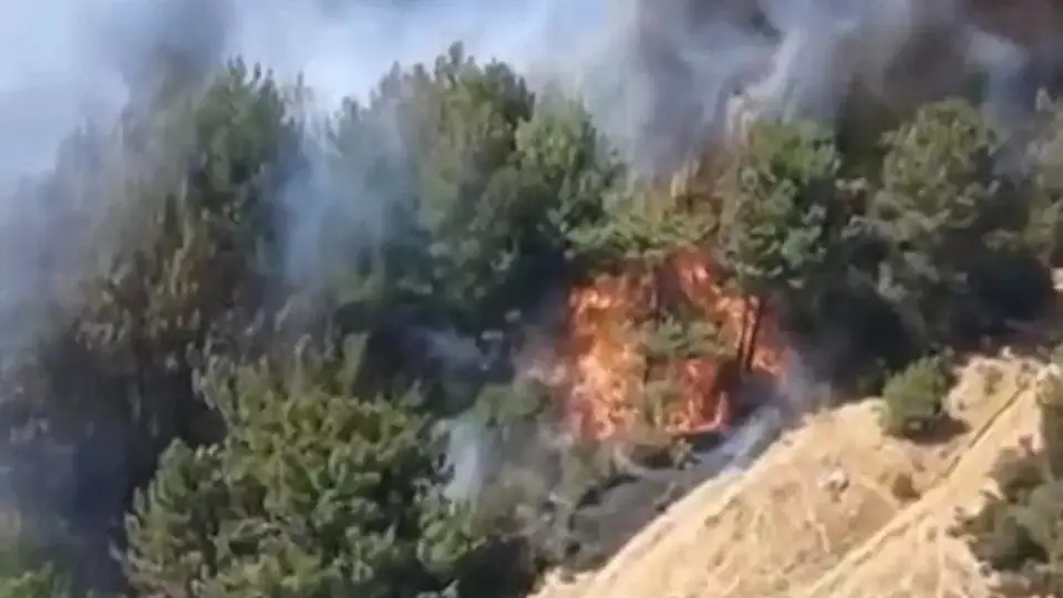 Balıkesir Karesi'de Orman Yangını: Ekipler Müdahale Ediyor