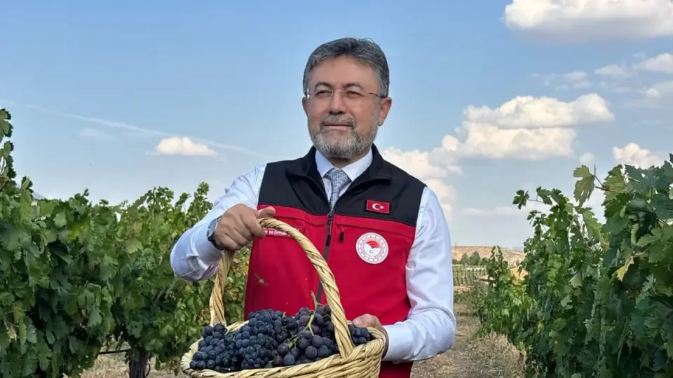 Tarım ve Orman Bakanı Yumaklı: Üzüm üretimi bu yıl 3 milyon 850 bin tona çıkacak