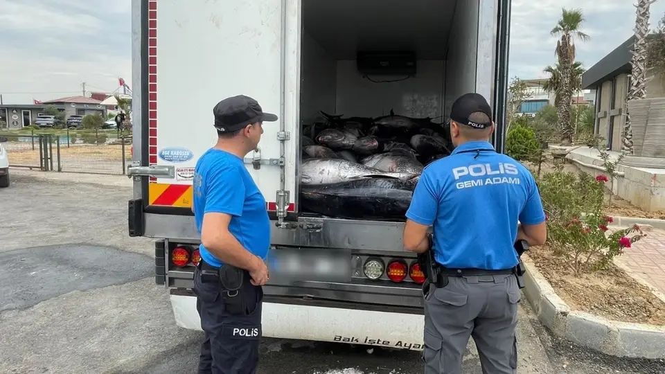İzmir'de 3 ton kaçak orkinos ele geçirildi
