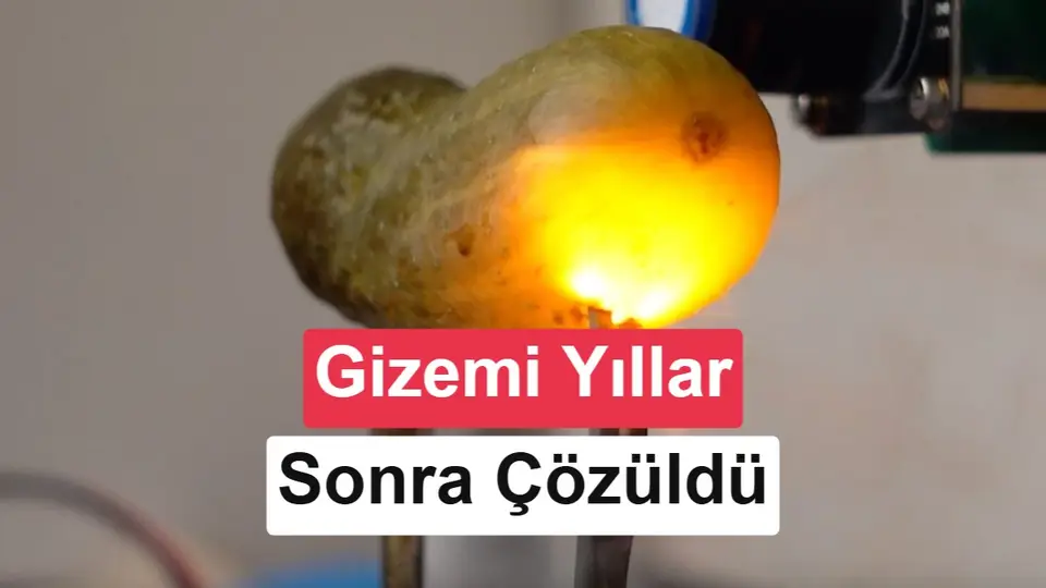 Elektrik verilen turşu neden ışıl ışıl parlar? Yıllar sonra cevabı bulundu