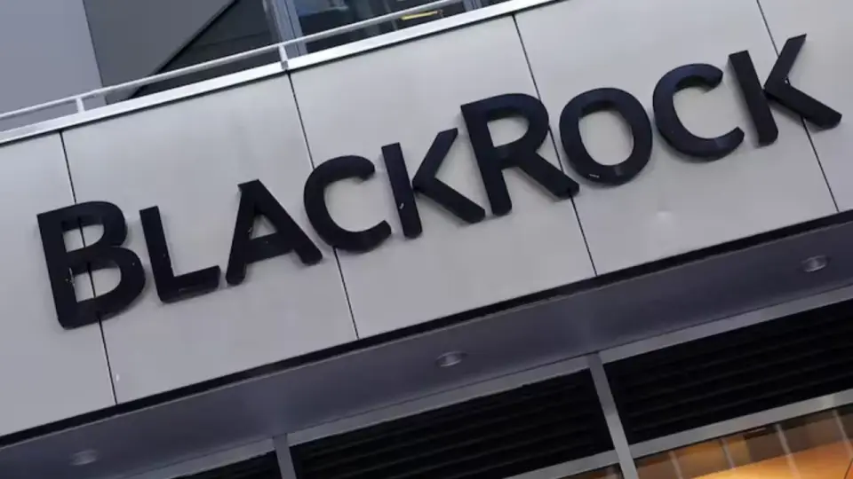 BlackRock'un kârı ve geliri beklentileri aştı