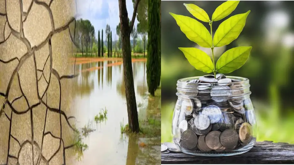 El Nino'nun Yıkıcı Etkisi Küresel Ekonomiyi Nasıl Etkileyecek?