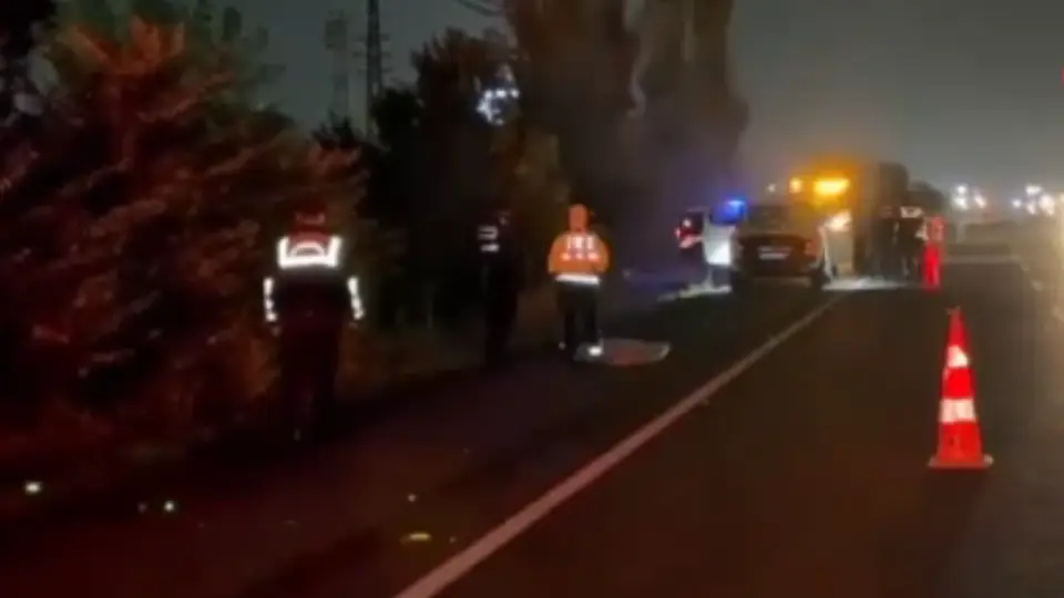 Ankara Polatlı'da yol kenarında ceset bulundu