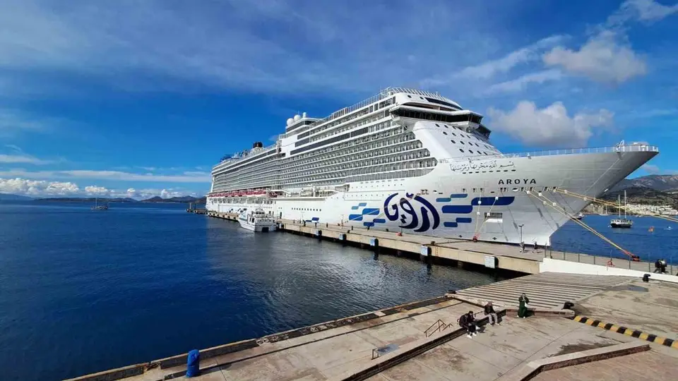 Devasa Aroya kruvaziyeri 1203 yolcu ile Bodrum'a geldi