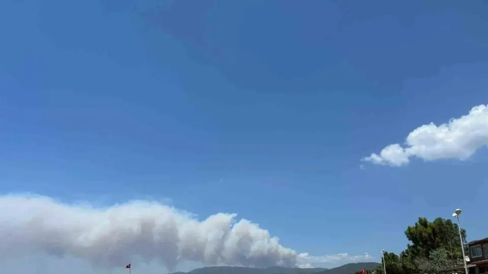 İzmir Menderes ve Seferihisar'da Orman Yangını!