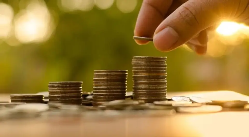 EKONMİDE TASARRUF ORANI 29,9 SEVİYESİNE ÇIKTI