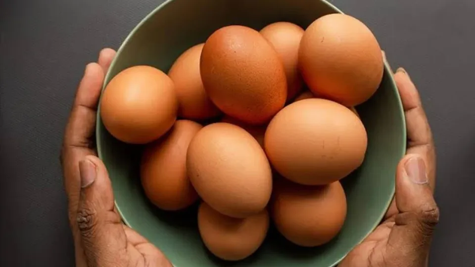 Salmonella salgını 8 Avrupa ülkesine yayıldı: 306 kişi hastalandı