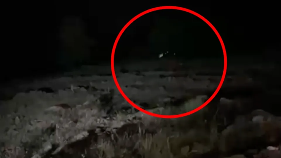 Bingöl Genç'te araç kazası: 4 ölü, 5 yaralı