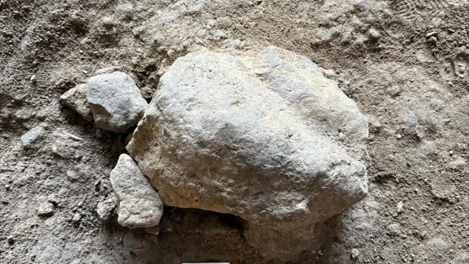Bilecik’te 16.500 yıl öncesine ait kaplumbağa heykelleri bulundu