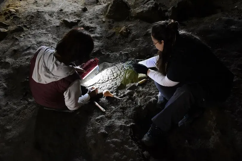 Bilecik’te 16.500 yıl öncesine ait kaplumbağa heykelleri bulundu