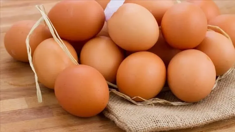 Salmonella salgını büyüyor! 8 ülkeye yayıldı, 306 kişi hastalandı - Resim: 3
